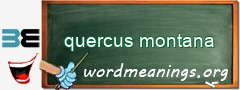 WordMeaning blackboard for quercus montana